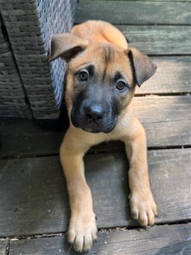 Picture of George