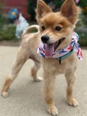 Picture of Benson 