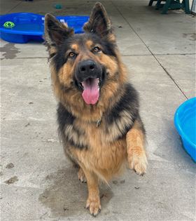 Picture of Endy **Bonded Pair**