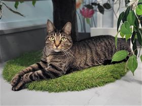 Picture of Arthur